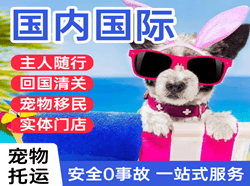 揭阳航空托运国际宠物托运 【国
